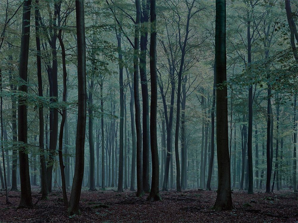 wald landscapes of memory photographs and text bymichael lange