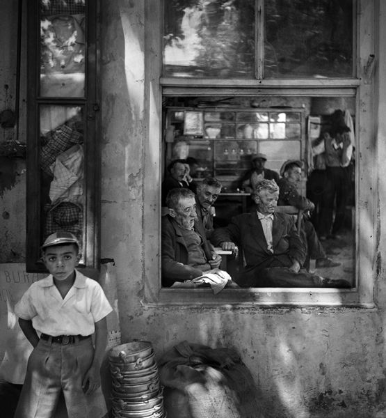 Ara Guler