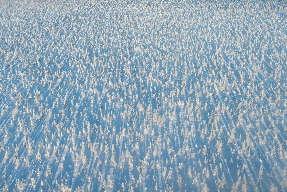 Zima: The Powerful Beauty of Russian Winter - Photographs and text by ...