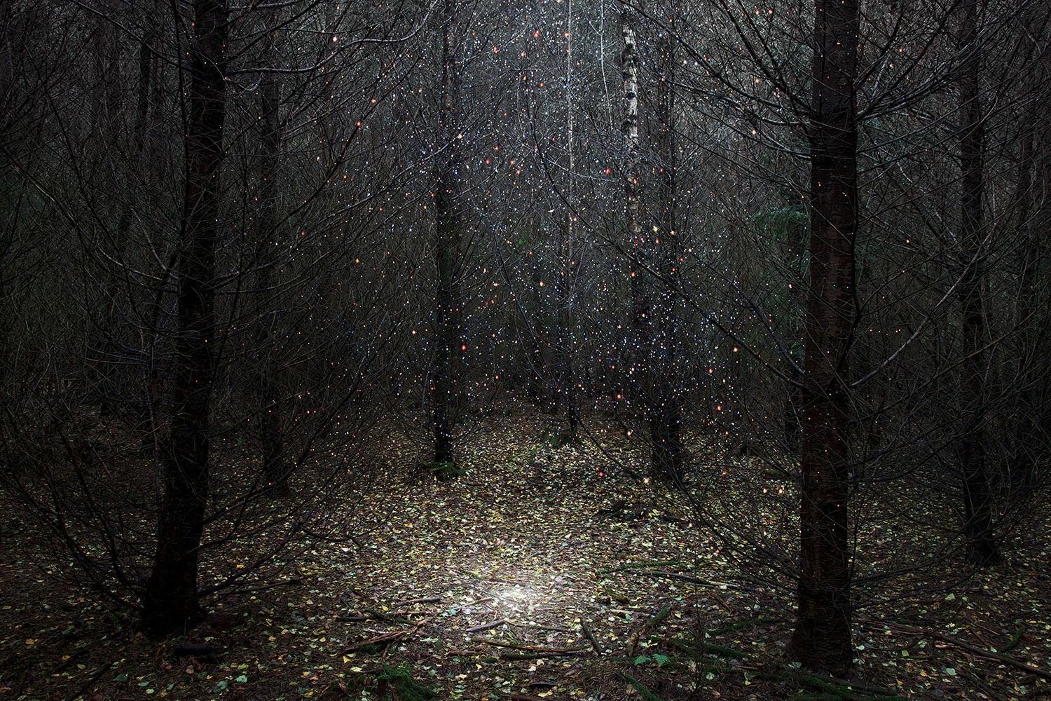 Stars, 2014
