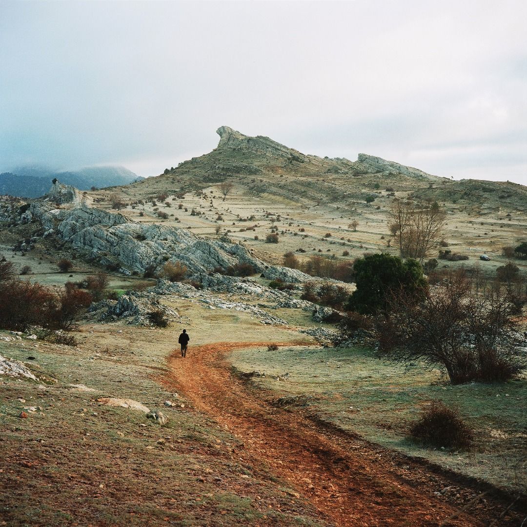 Scrublands