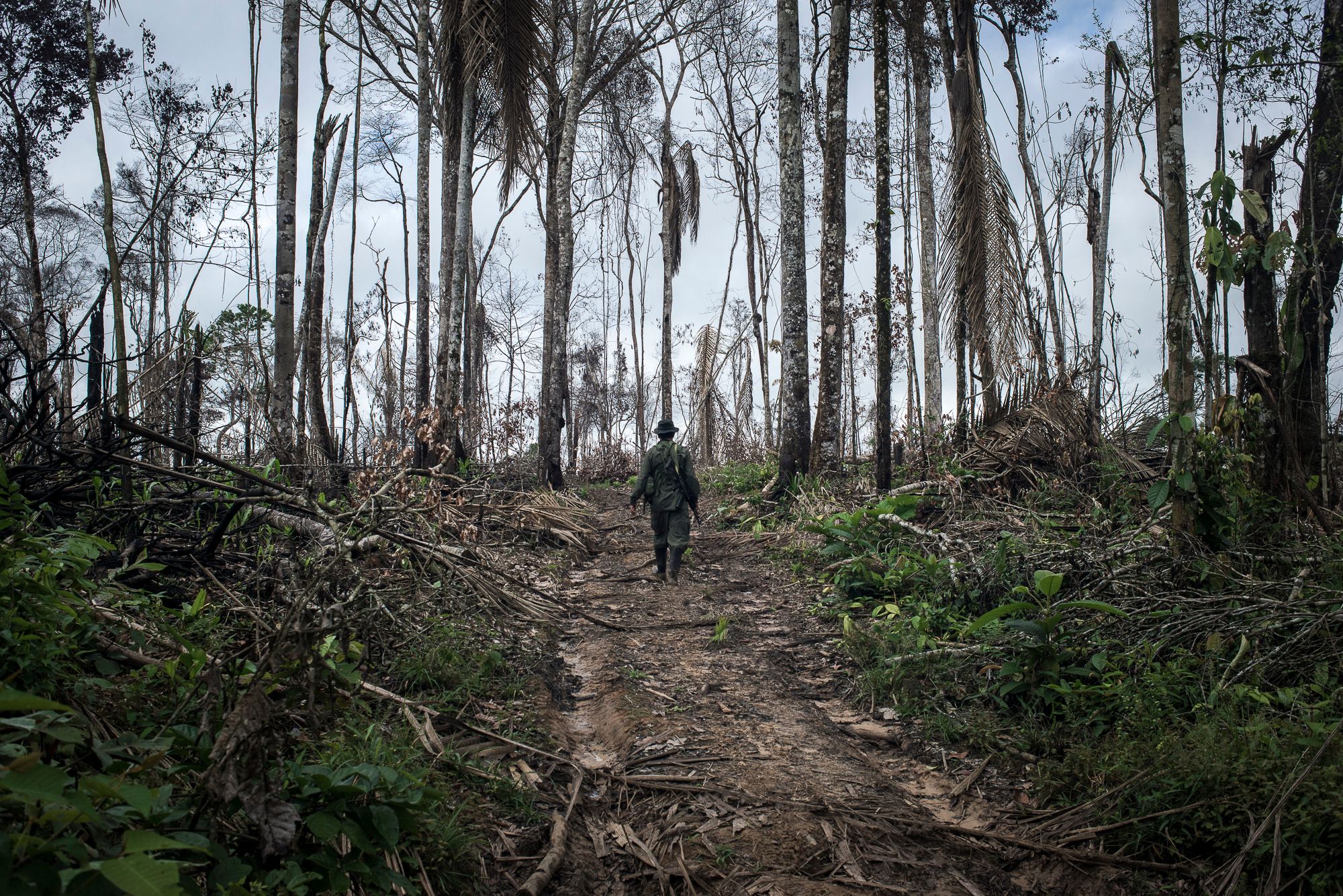 The Other Colombia: FARC Referendum Reviewed