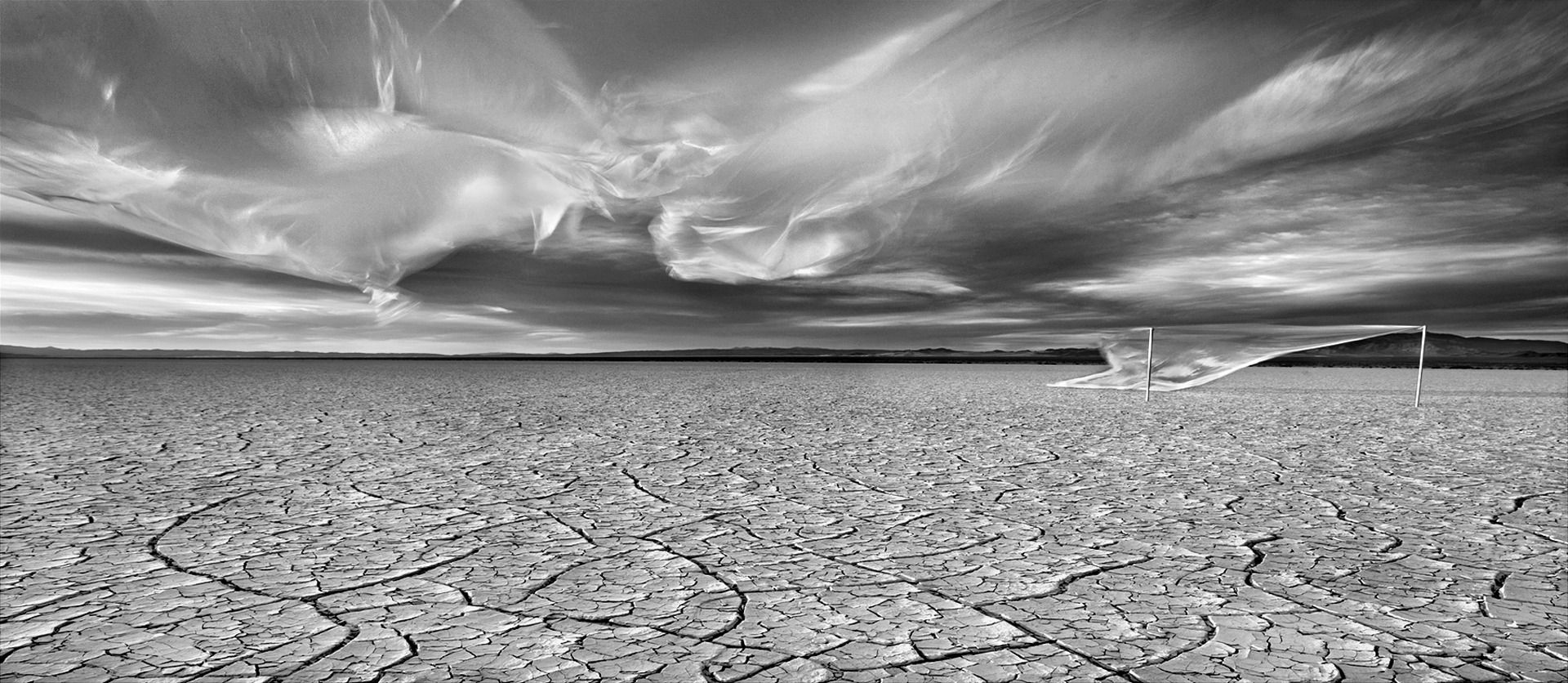 Plastic Landscapes